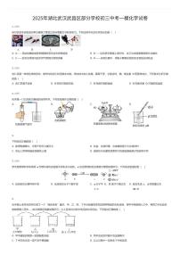 2025年湖北武汉武昌区部分学校初三中考一模化学试卷（有答案解析）