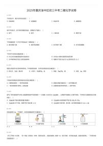2025年重庆渝中区初三中考二模化学试卷（有答案解析）