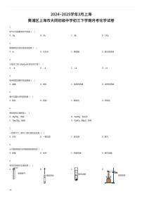 2024~2025学年3月上海黄浦区上海市大同初级中学初三下学期月考化学试卷（有答案解析）