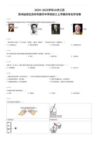 2024~2025学年10月江苏苏州姑苏区苏州市振华中学校初三上学期月考化学试卷（有答案解析）