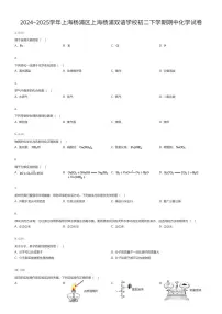 2024~2025学年上海杨浦区上海杨浦双语学校初二下学期期中化学试卷（有答案解析）