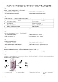 2025年广东广州荔湾区广东广雅中学初中部初三中考三模化学试卷（有答案解析）