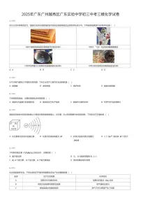 2025年广东广州越秀区广东实验中学初三中考三模化学试卷（有答案解析）