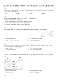 2025年广东广州越秀区广州市铁一中学（本部校区）初三中考三模化学试卷（有答案解析）