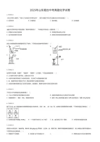 2025年山东烟台中考真题化学试卷（有答案解析）