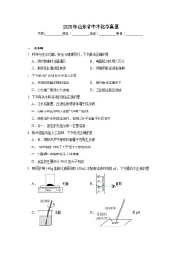 2025年山东省中考化学真题（附答案解析）