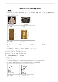 湖北省武汉市2025年中考化学试卷及同步解析