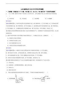 山东省烟台市2025年中考化学真题及同步解析