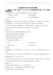 广东省深圳市2025年中考化学真题及同步解析