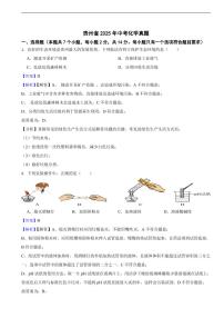 贵州省2025年中考化学真题及同步解析