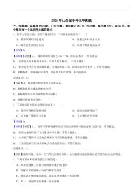 2025年山东省中考化学真题及同步解析