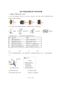 2025年湖北省武汉市中考化学试卷（含解析）