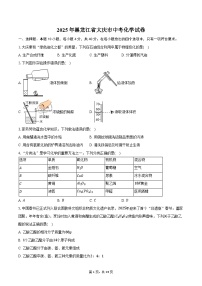 2025年黑龙江省大庆市中考化学试卷（含解析）