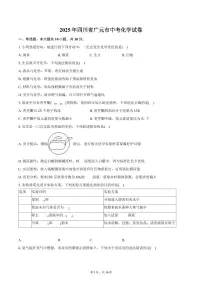 2025年四川省广元市中考化学试卷（含解析）