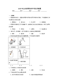 2025年山东省青岛市中考化学真题（无答案）