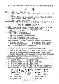 2025年四川省广元市中考化学真题无标答