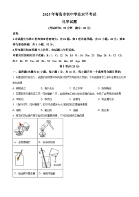 2025年山东省青岛市中考化学真题含答案