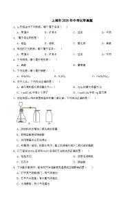 上海市2025年中考化学真题及答案
