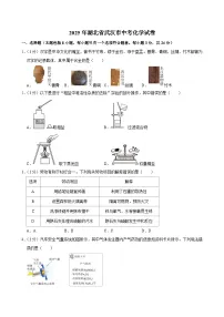2025年湖北省武汉市中考化学试卷及答案