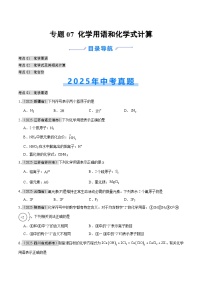 2025年中考化学真题分类汇编：专题07 化学用语和化学式计算（全国通用）（第01期）（原卷版）