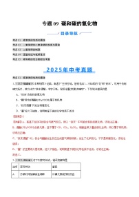 2025年中考化学真题分类汇编：专题09 碳和碳的氧化物（全国通用）（第01期）（解析版）
