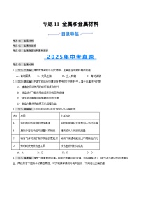 2025年中考化学真题分类汇编：专题11 金属和金属材料（全国通用）（第01期）（原卷版）