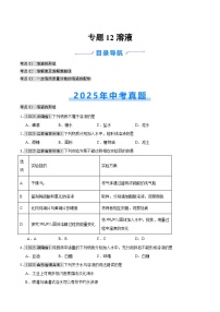 2025年中考化学真题分类汇编：专题12 溶液（全国通用）（第01期）（原卷版）