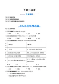 2025年中考化学真题分类汇编：专题12 溶液（全国通用）（第01期）（原卷版）