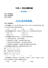 2025年中考化学真题分类汇编：专题13 常见的酸和碱（全国通用）（第01期）（原卷版）