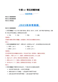 2025年中考化学真题分类汇编：专题13 常见的酸和碱（全国通用）（第01期）（解析版）