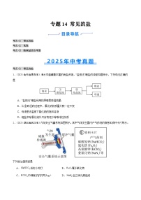 2025年中考化学真题分类汇编：专题14 常见的盐（全国通用）（第01期）（原卷版）