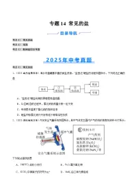 2025年中考化学真题分类汇编：专题14 常见的盐（全国通用）（第01期）（原卷版）