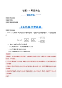 2025年中考化学真题分类汇编：专题14 常见的盐（全国通用）（第01期）（解析版）