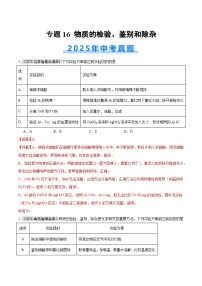 2025年中考化学真题分类汇编：专题16 物质的检验、鉴别和除杂（全国通用）（第01期）（解析版）