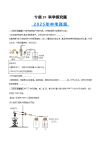 2025年中考化学真题分类汇编：专题19 科学探究题（全国通用）（第01期）（原卷版）