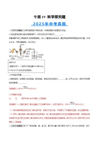 2025年中考化学真题分类汇编：专题19 科学探究题（全国通用）（第01期）（解析版）