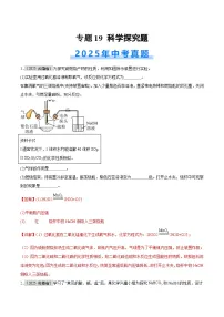 2025年中考化学真题分类汇编：专题19 科学探究题（全国通用）（第01期）（解析版）