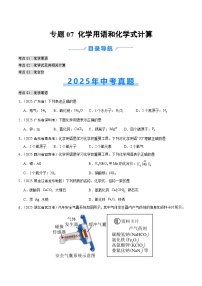2025年中考化学真题分类汇编：专题07 化学用语和化学式计算（全国通用）（第02期）（原卷版）