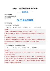 2025年中考化学真题分类汇编：专题07 化学用语和化学式计算（全国通用）（第02期）（解析版）