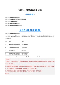 2025年中考化学真题分类汇编：专题09 碳和碳的氧化物（全国通用）（第02期）（解析版）
