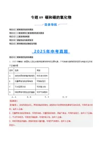 2025年中考化学真题分类汇编：专题09 碳和碳的氧化物（全国通用）（第02期）（解析版）