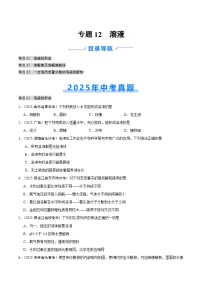 2025年中考化学真题分类汇编：专题12 溶液（全国通用）（第02期）（原卷版）