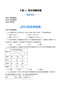 2025年中考化学真题分类汇编：专题13 常见的酸和碱（全国通用）（第02期）（原卷版）