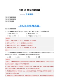 2025年中考化学真题分类汇编：专题13 常见的酸和碱（全国通用）（第02期）（解析版）