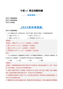 2025年中考化学真题分类汇编：专题13 常见的酸和碱（全国通用）（第02期）（解析版）