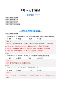 2025年中考化学真题分类汇编：专题15 化学与社会（全国通用）（第02期）（解析版）