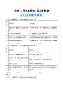 2025年中考化学真题分类汇编：专题16 物质的检验、鉴别和除杂（全国通用）（第02期）（原卷版）