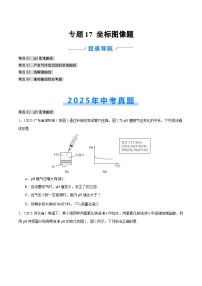 2025年中考化学真题分类汇编：专题17 坐标图像题（全国通用）（第02期）（原卷版）