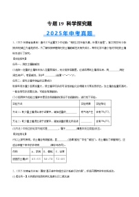 2025年中考化学真题分类汇编：专题19 科学探究题（全国通用）（第02期）（原卷版）