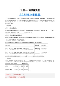 2025年中考化学真题分类汇编：专题19 科学探究题（全国通用）（第02期）（解析版）